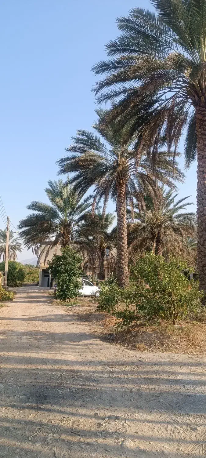 باغ، زمین کشاورزی،ویلا، در سرزمین گل نرگس خفر|فروش دفتر صنعتی، کشاورزی، تجاری|شیراز, عفیف‌آباد|دیوار