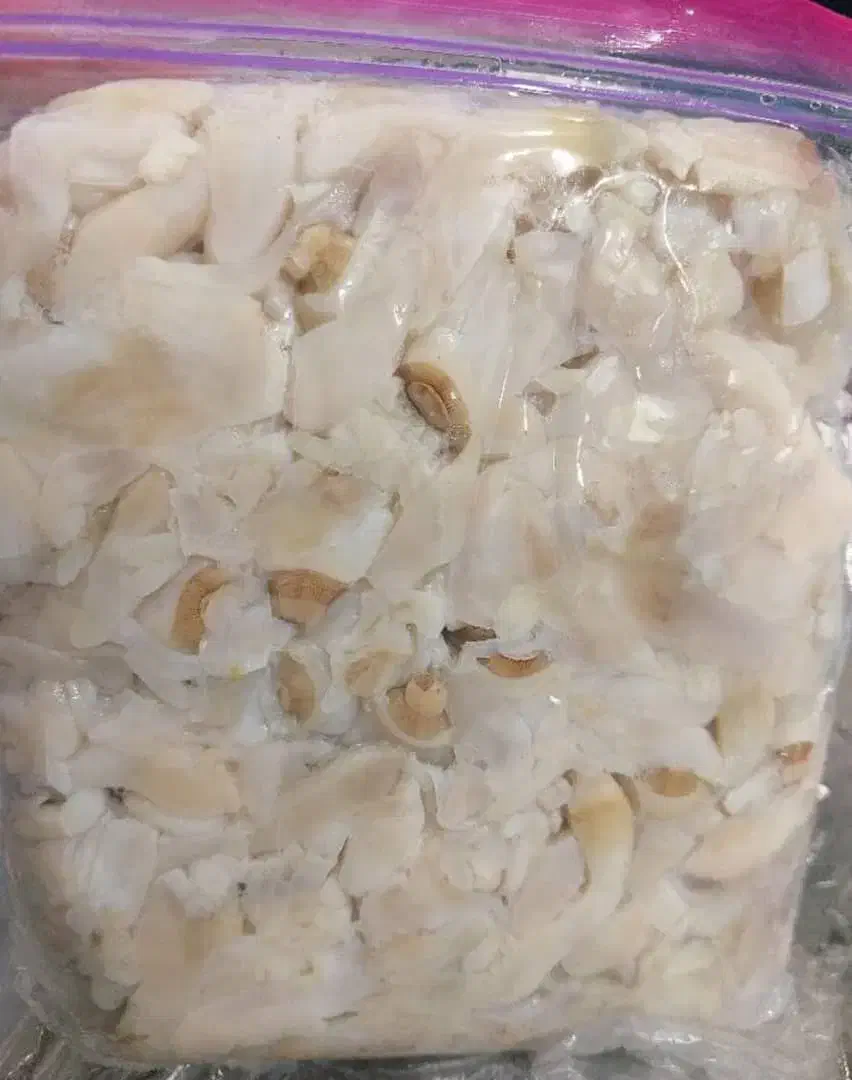 ماهی میگو|خوردنی و آشامیدنی|قشم, |دیوار