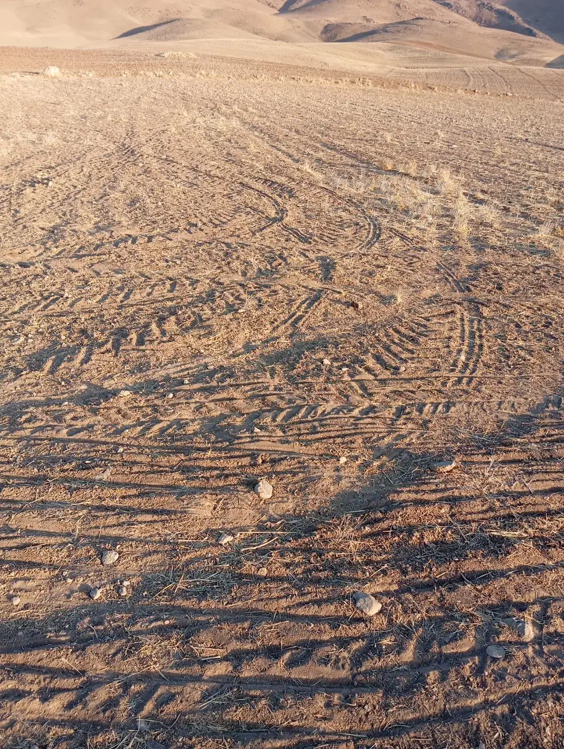 زمین کشاورزی دیم|فروش زمین و ملک کلنگی|سیلاخور, |دیوار