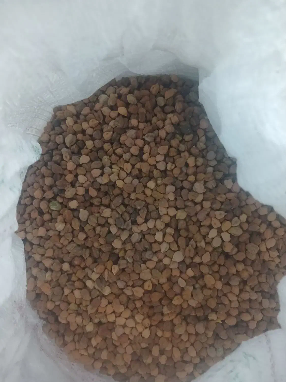 نخود زرد|عمده‌فروشی|ایجرود, |دیوار