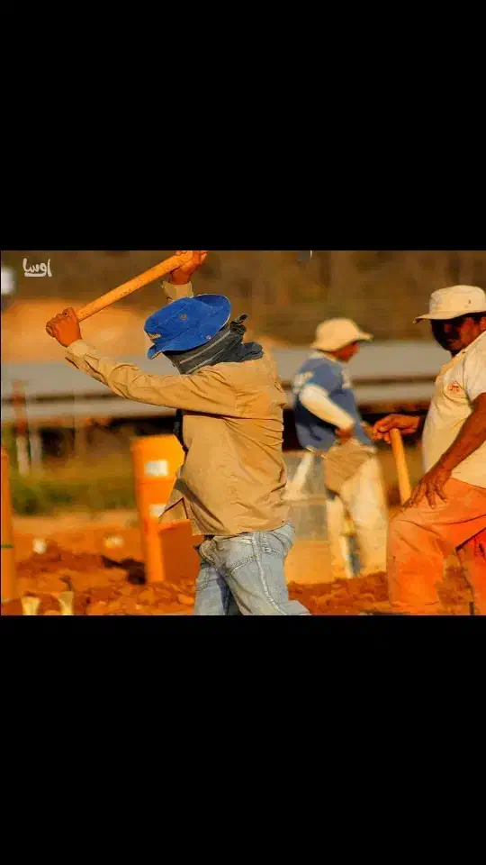 کارگر کنتراتم برمیداریم|خدمات باغبانی و درختکاری|گلپایگان, |دیوار