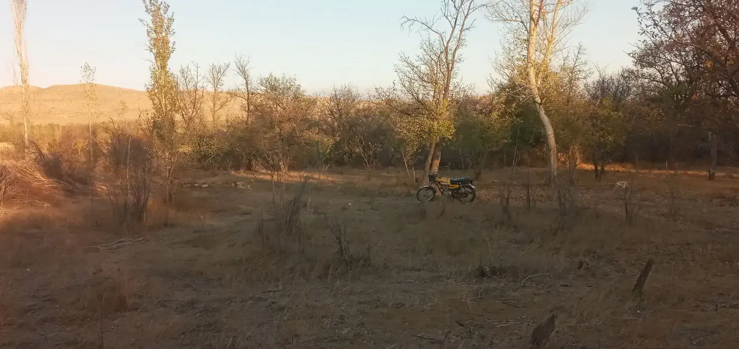 باغ|فروش دفتر صنعتی، کشاورزی، تجاری|نمین, |دیوار