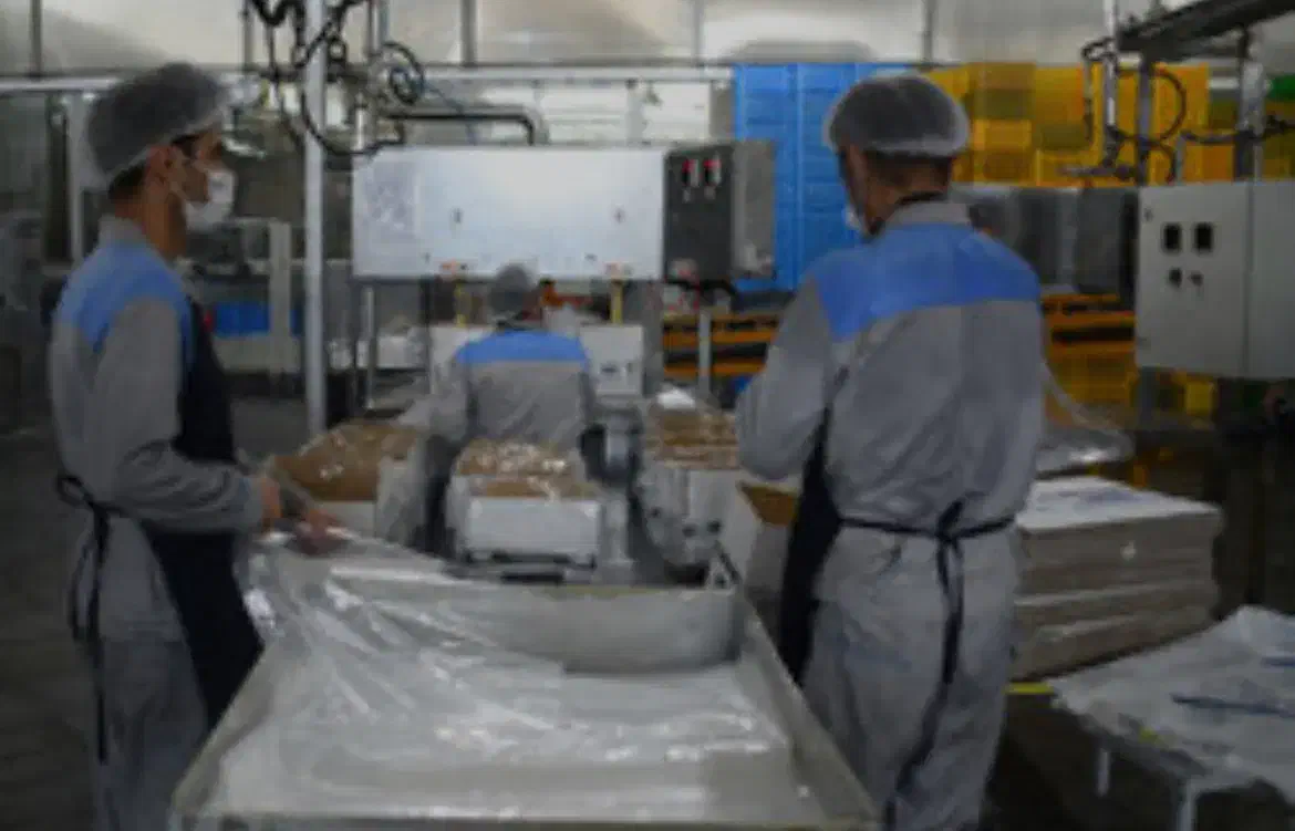 کارگر اتباع|استخدام صنعتی، فنی، مهندسی|نجف‌آباد, حومه نجف آباد|دیوار