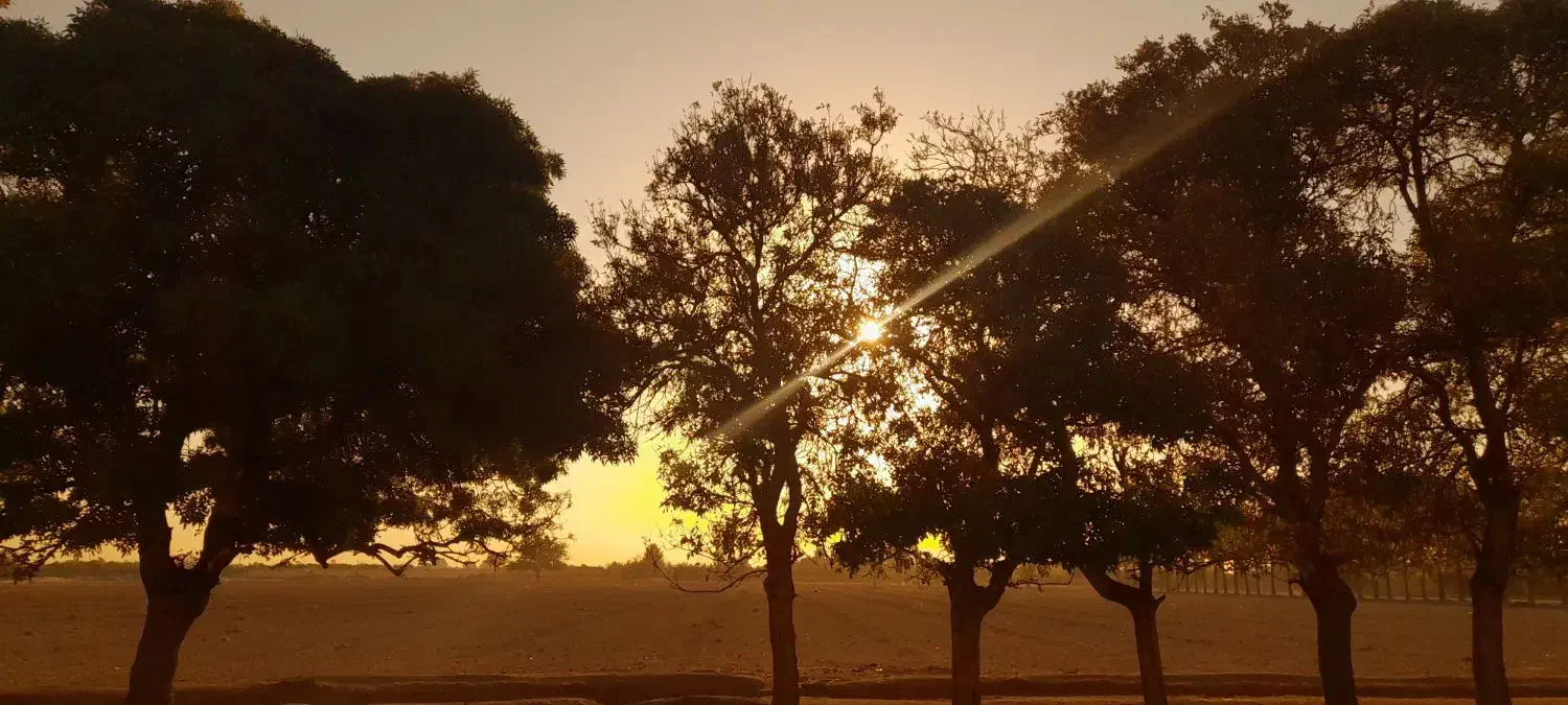 مشاوره معنوی و خودآگاهی|خدمات آموزشی|تهران, تجریش|دیوار