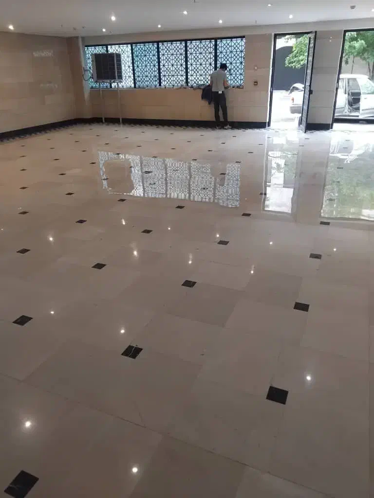 کفسابی سنگسابی نانو|خدمات نظافت|تهران, هروی|دیوار