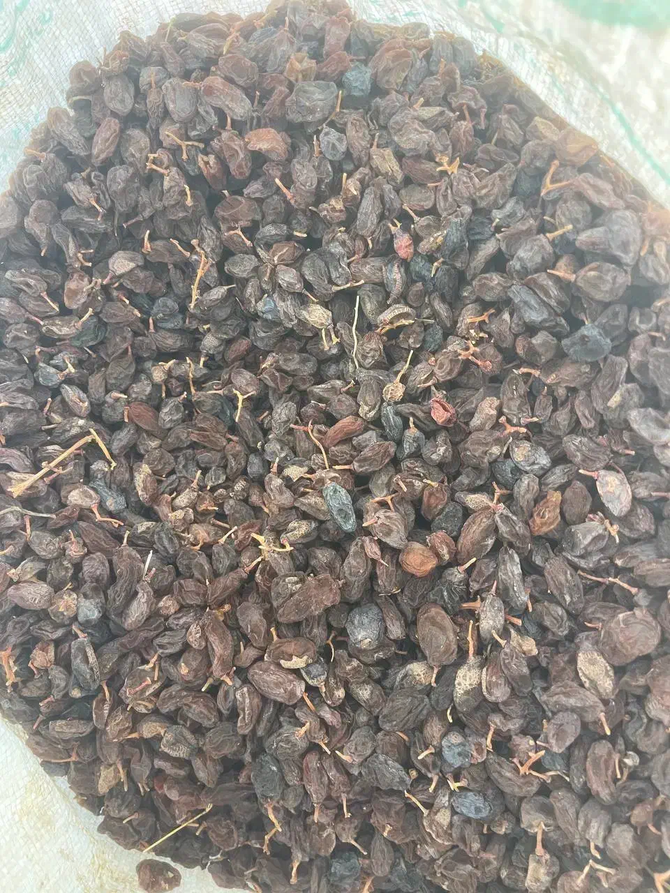 مویز|خوردنی و آشامیدنی|شیراز, شهرک امیر کبیر|دیوار