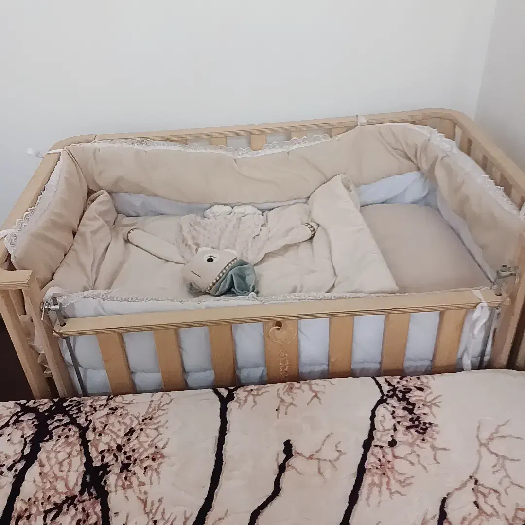 برایی بچه گانه|تخت و صندلی بچه|مشگین شهر, |دیوار