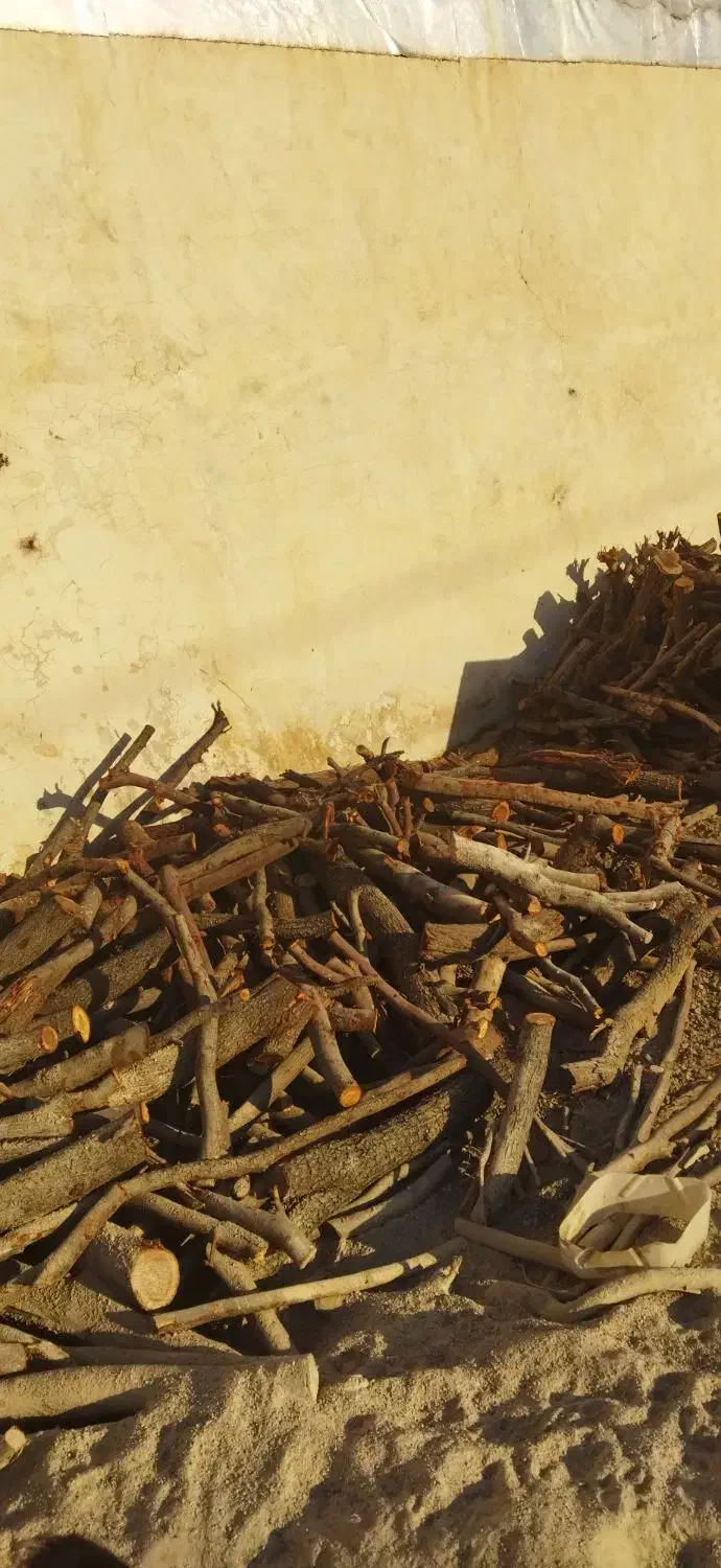 خریدار چوب وقطع درخت|خدمات باغبانی و درختکاری|فسا, |دیوار