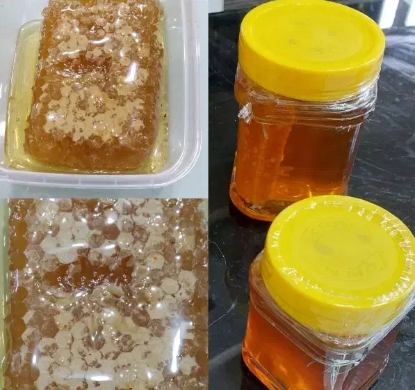 عسل طبیعی سرعین|خوردنی و آشامیدنی|اندیشه, شهرک مریم|دیوار