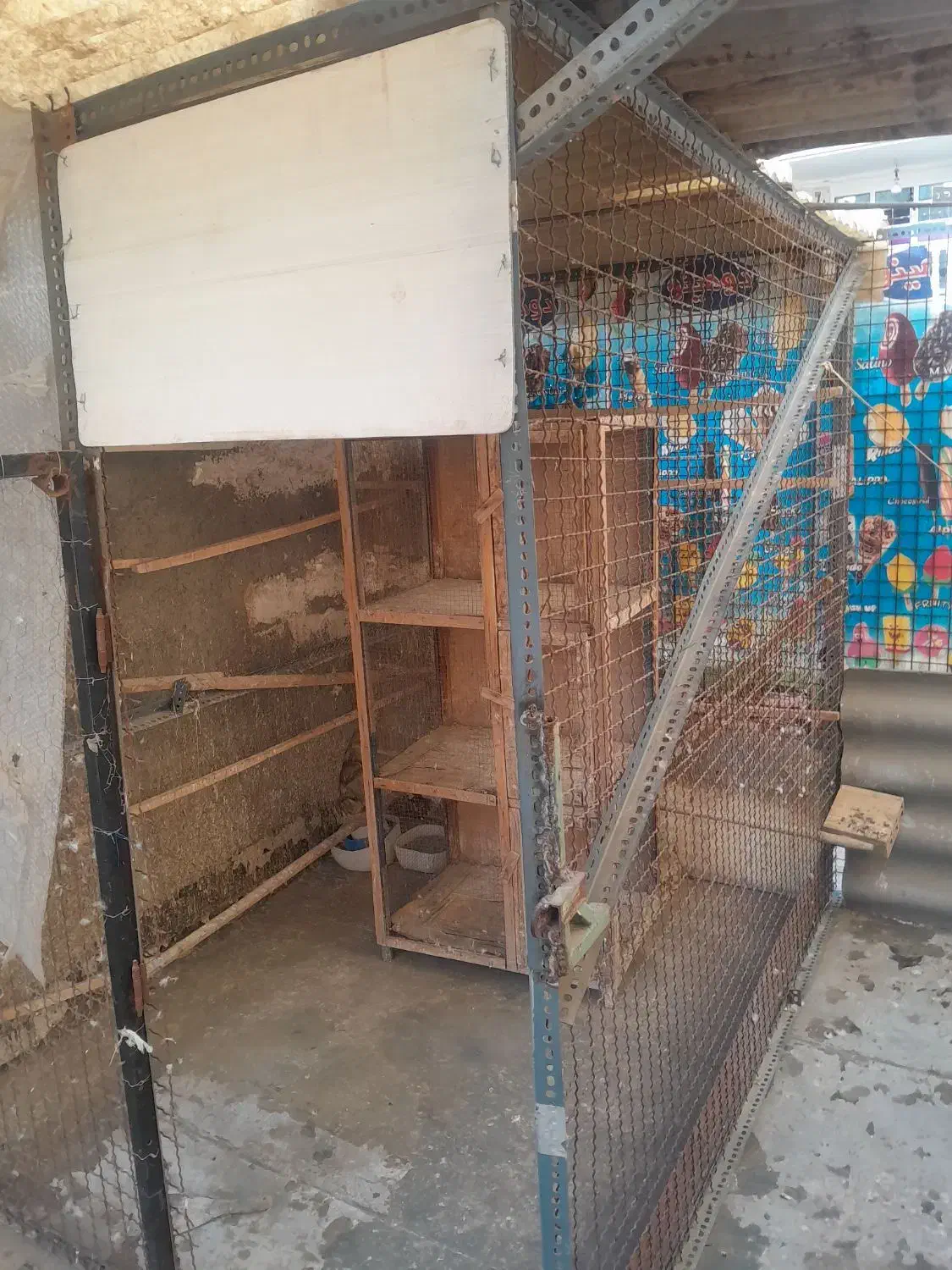 گنجه کفتر..مرغ|لوازم جانبی حیوانات|بهارستان, |دیوار