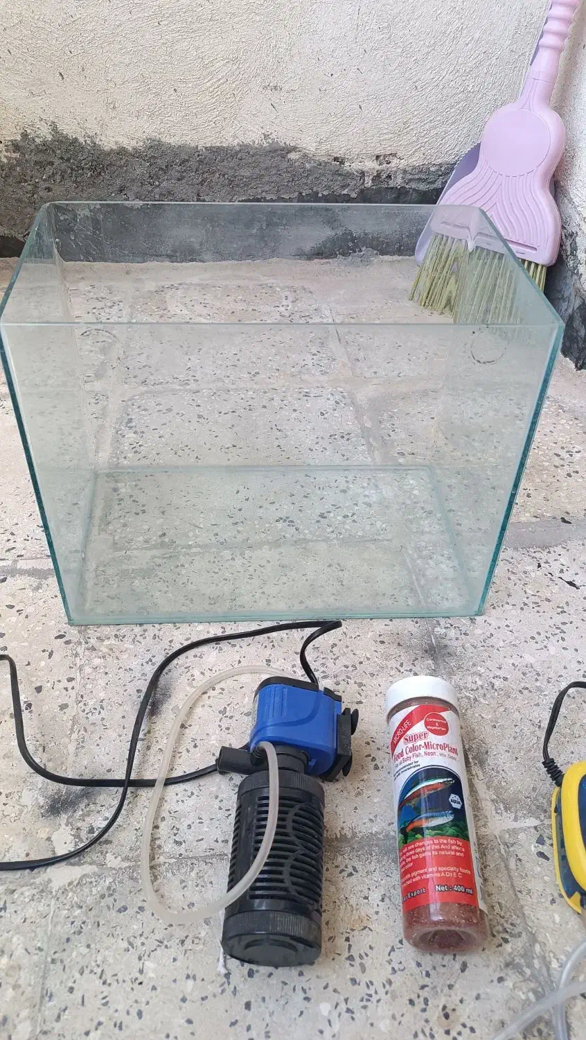 اکواریوم|ماهی|ساوه, |دیوار