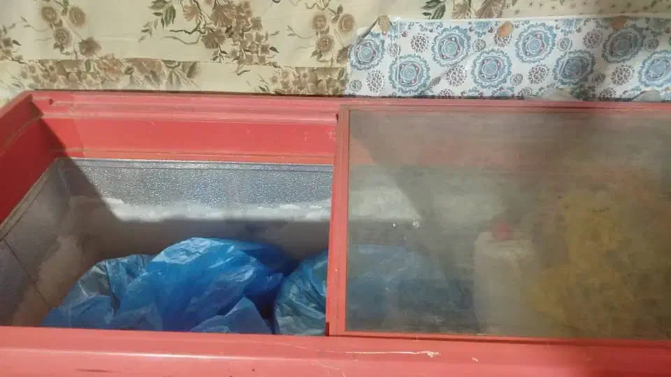 فروش فریزر مخصوص بستنی وسوسیس جکر مرغ|یخچال و فریزر|سراوان, |دیوار