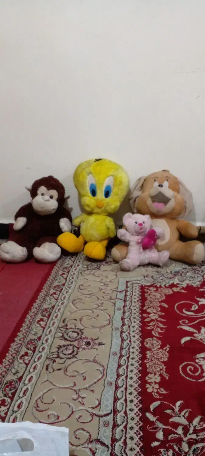 عروسک|اسباب‌‌بازی|اهواز, کوی علوی|دیوار