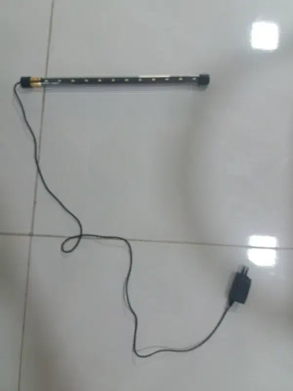 چراغ اکواریوم|ماهی|اهواز, سپیدار|دیوار