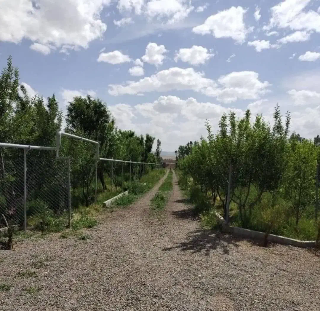 باغ بر اتوبان تهران دارای آب برق گاز|فروش زمین و ملک کلنگی|زنجان, |دیوار