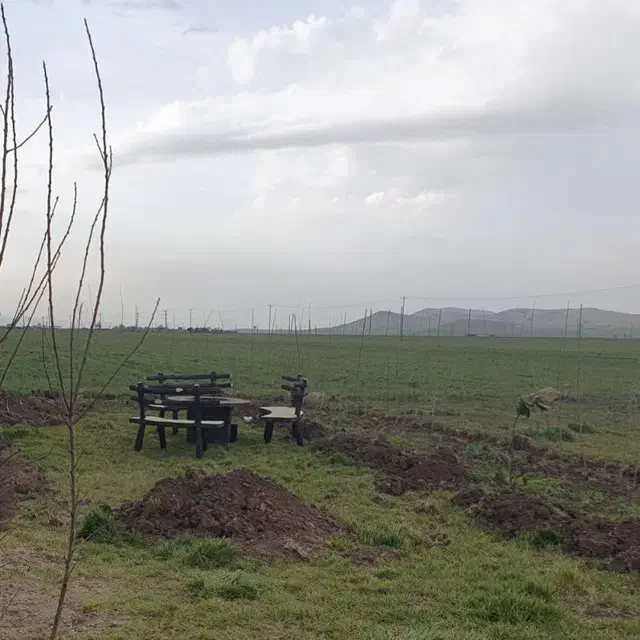 زمین کشاورزی با امتیاز برق و چاه بصورت اقرارنامه|فروش زمین و ملک کلنگی|ماهیدشت, |دیوار