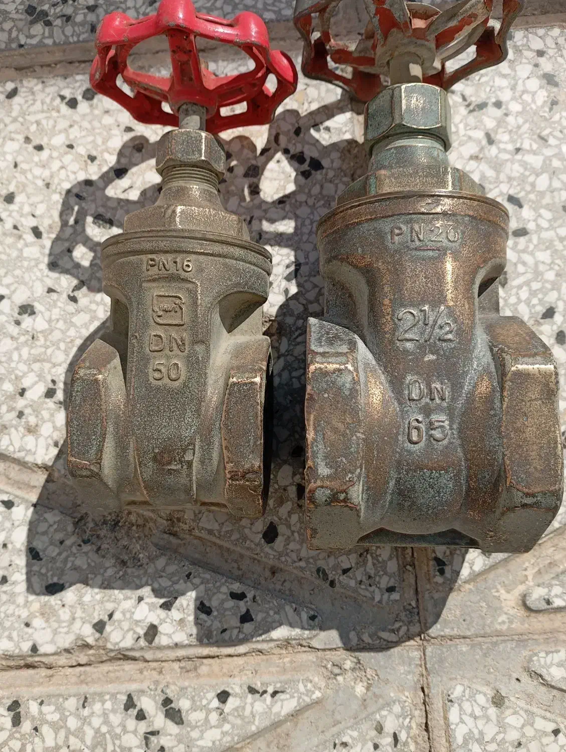 دو عدد شیر|مصالح و تجهیزات ساختمان|نیشابور, گنبد سبز|دیوار