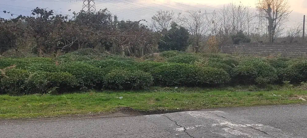 زمین|فروش زمین و ملک کلنگی|واجارگاه, |دیوار