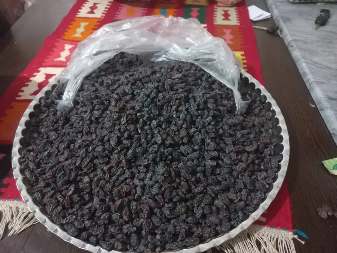 مویز|خوردنی و آشامیدنی|شیراز, شهدای شهرک سعدی|دیوار