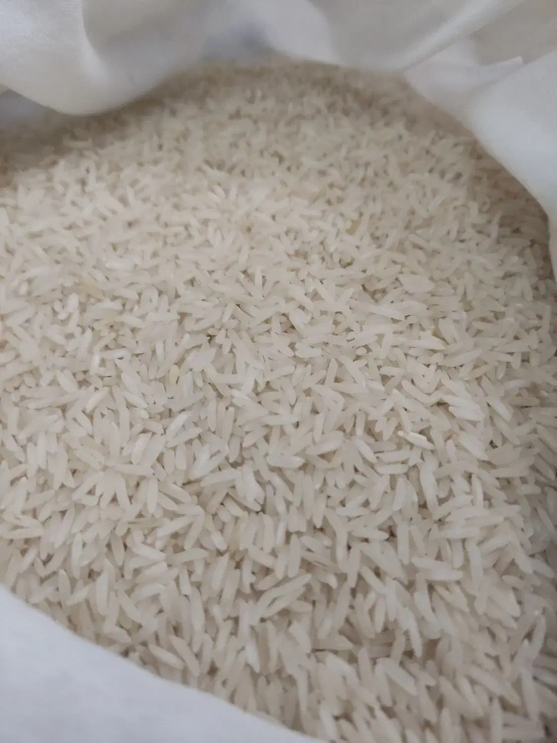 برنج ایرانی|خوردنی و آشامیدنی|تبریز, |دیوار