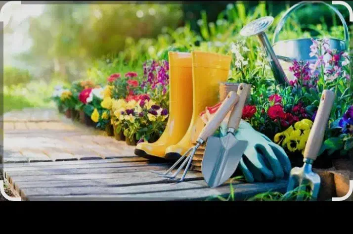 باغبانی،طراحی و اجرای فضای سبز|خدمات باغبانی و درختکاری|شفت, |دیوار