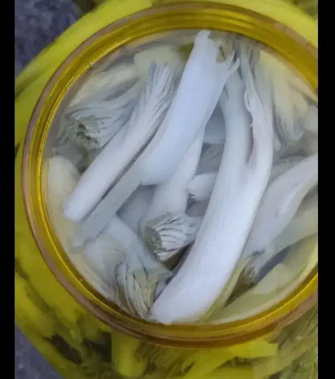 ترشی بیلهر|خوردنی و آشامیدنی|یاسوج, |دیوار