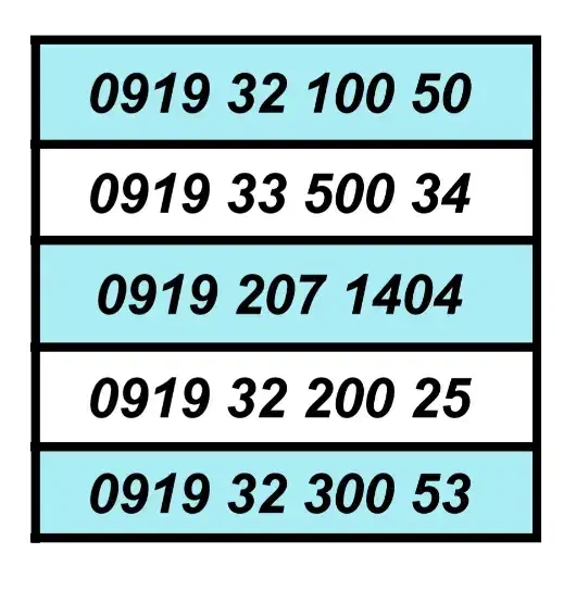 0919.30.40.914|سیمکارت|تهران, گلستان (شهرک راه آهن)|دیوار