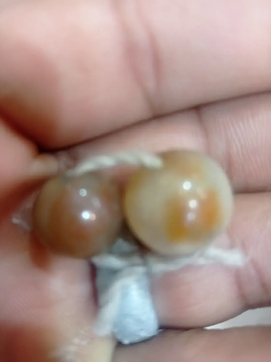 شوش دانیال|جواهرات|پرند, فاز ۰|دیوار