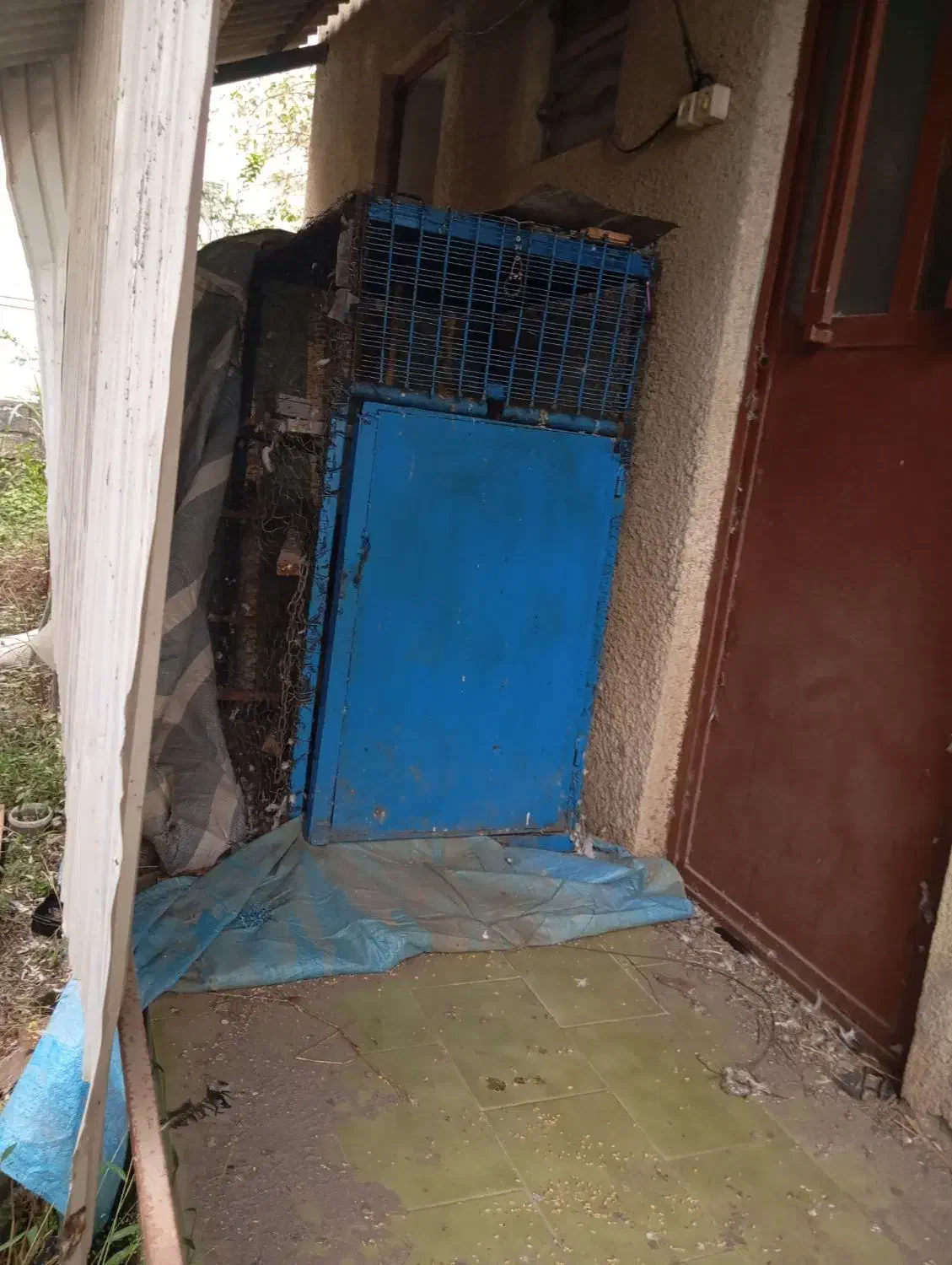 قفس بزرگ|لوازم جانبی حیوانات|نوشهر, |دیوار