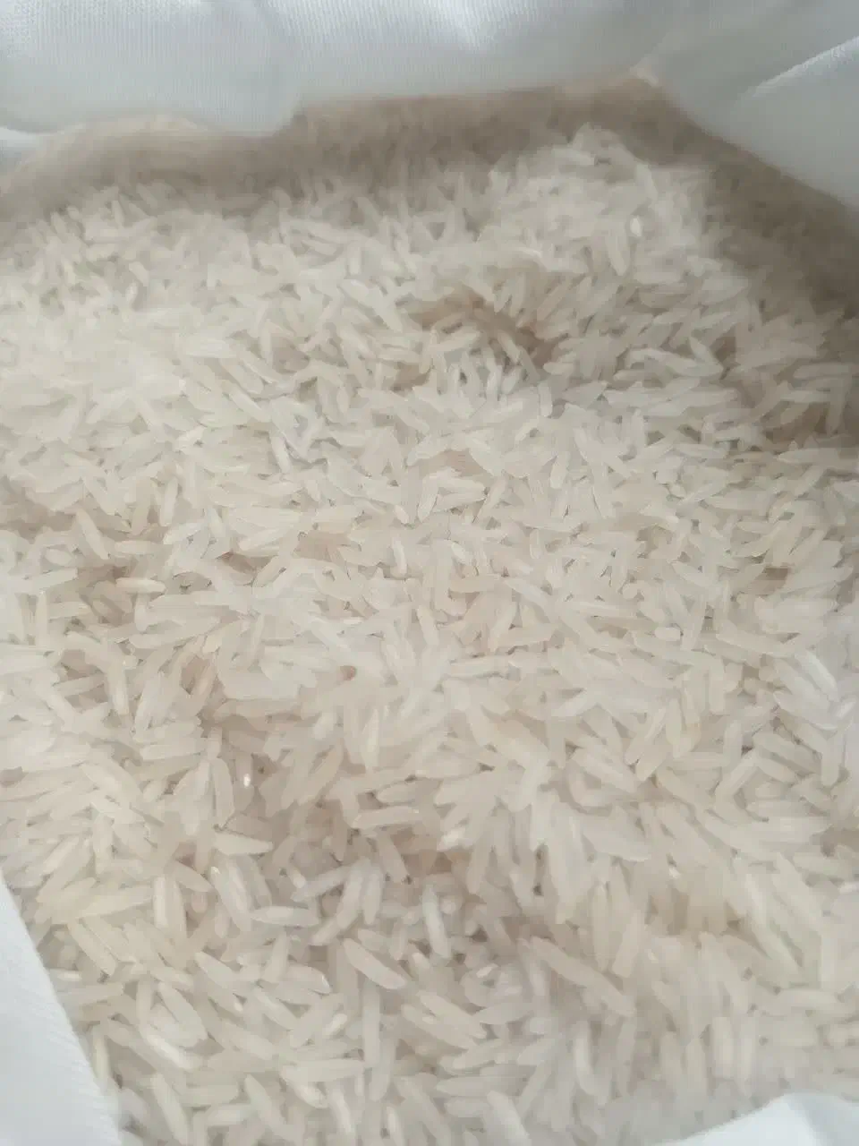 برنج فجر ایرانی|خوردنی و آشامیدنی|تبریز, |دیوار