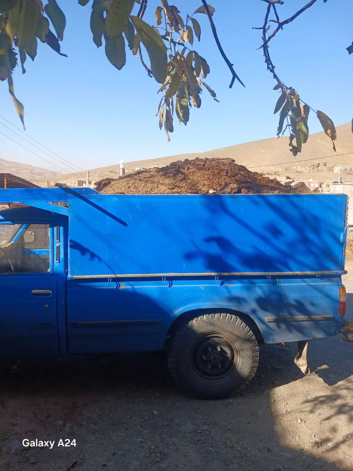 کود دامی|خدمات باغبانی و درختکاری|تویسرکان, |دیوار