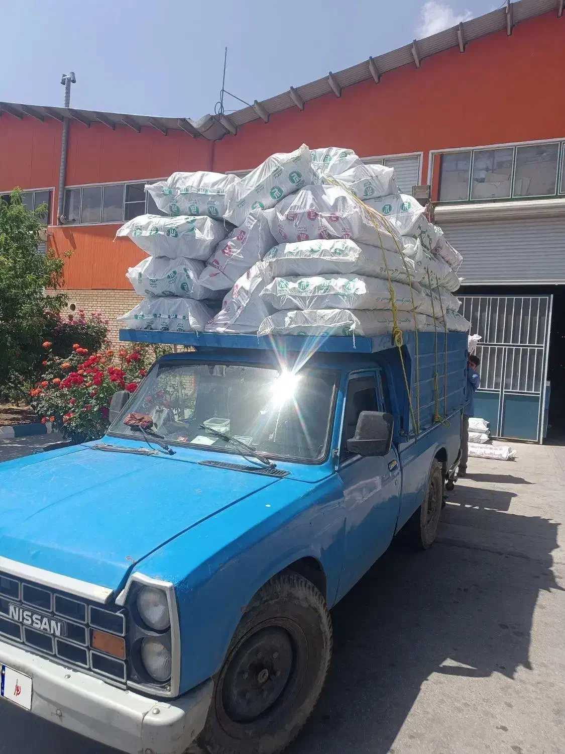 وانت نیسان|خودرو سواری و وانت|دیواندره, |دیوار