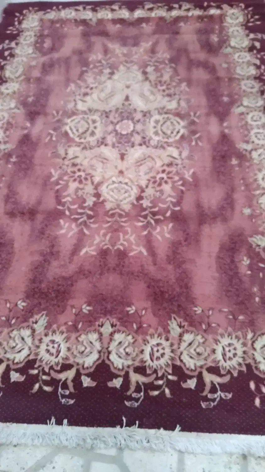 گلیم فرش|گلیم، جاجیم، گبه|قرچک, مهدیه|دیوار