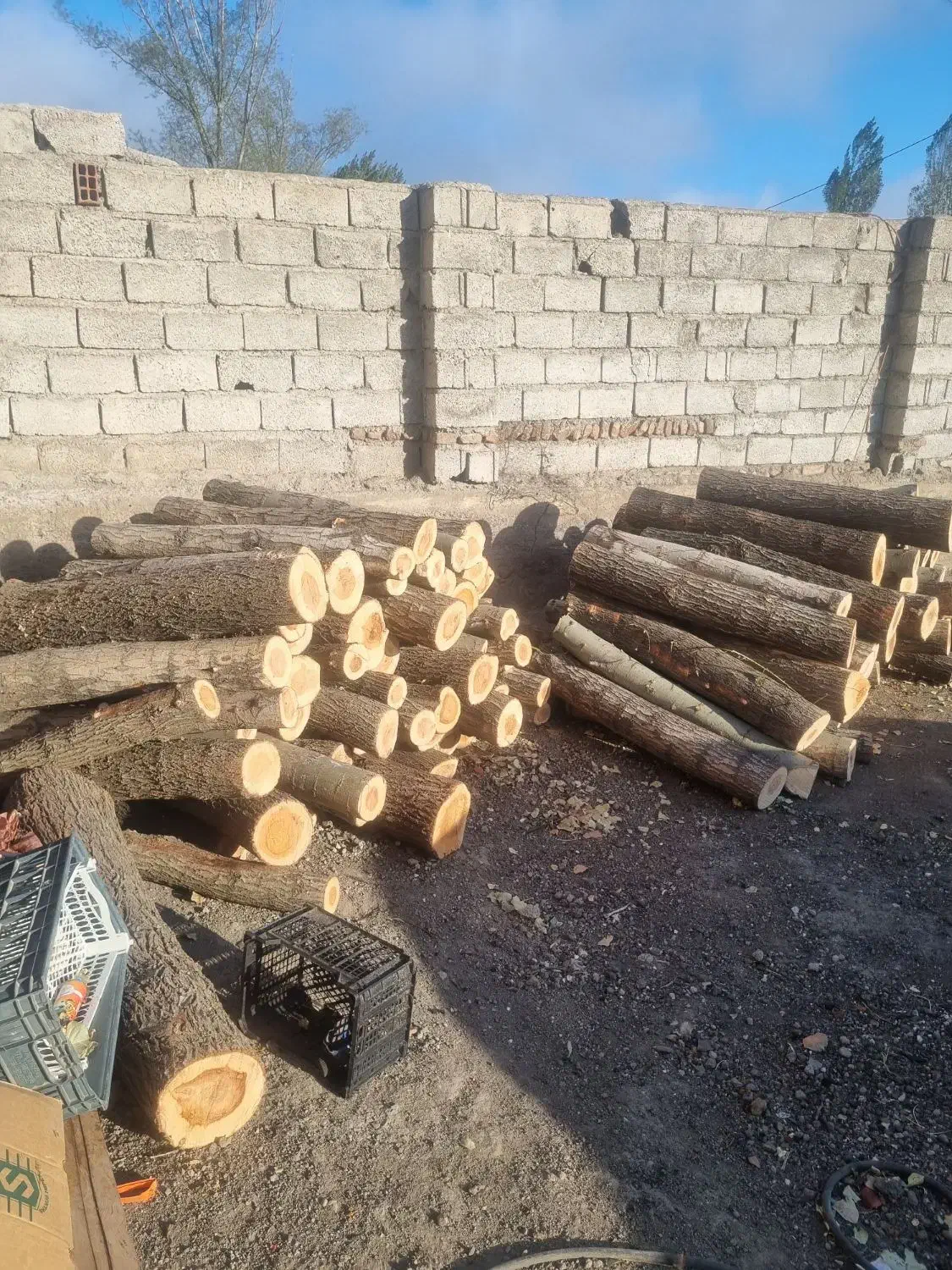 خریدانواع چوب به صورت نقد|خدمات باغبانی و درختکاری|اردبیل, |دیوار