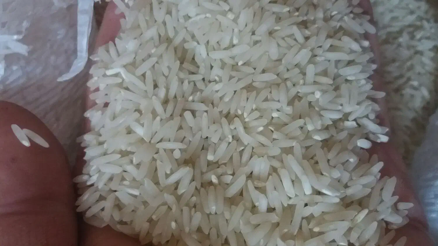 برنج ایرانی|خوردنی و آشامیدنی|درب گنبد, |دیوار