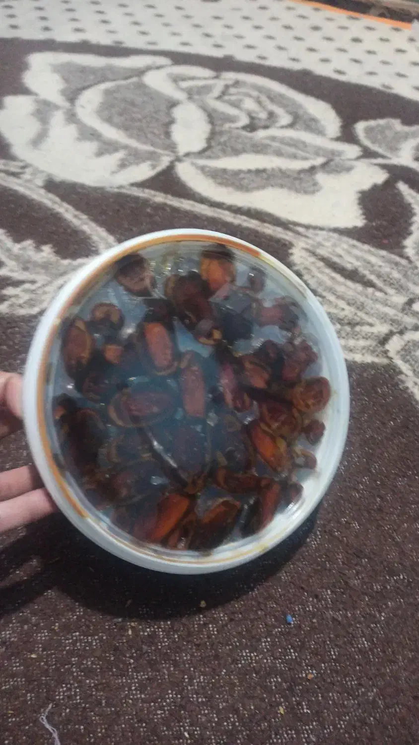 خرمای خوزستان|خوردنی و آشامیدنی|مبارکه, |دیوار