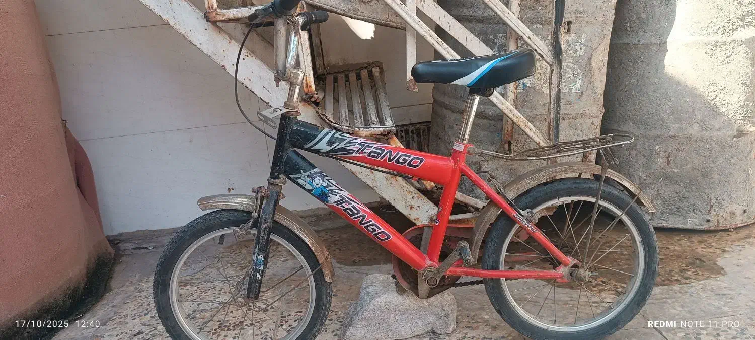 دو چرخه ۱۶|دوچرخه، اسکیت، اسکوتر|کارون, |دیوار