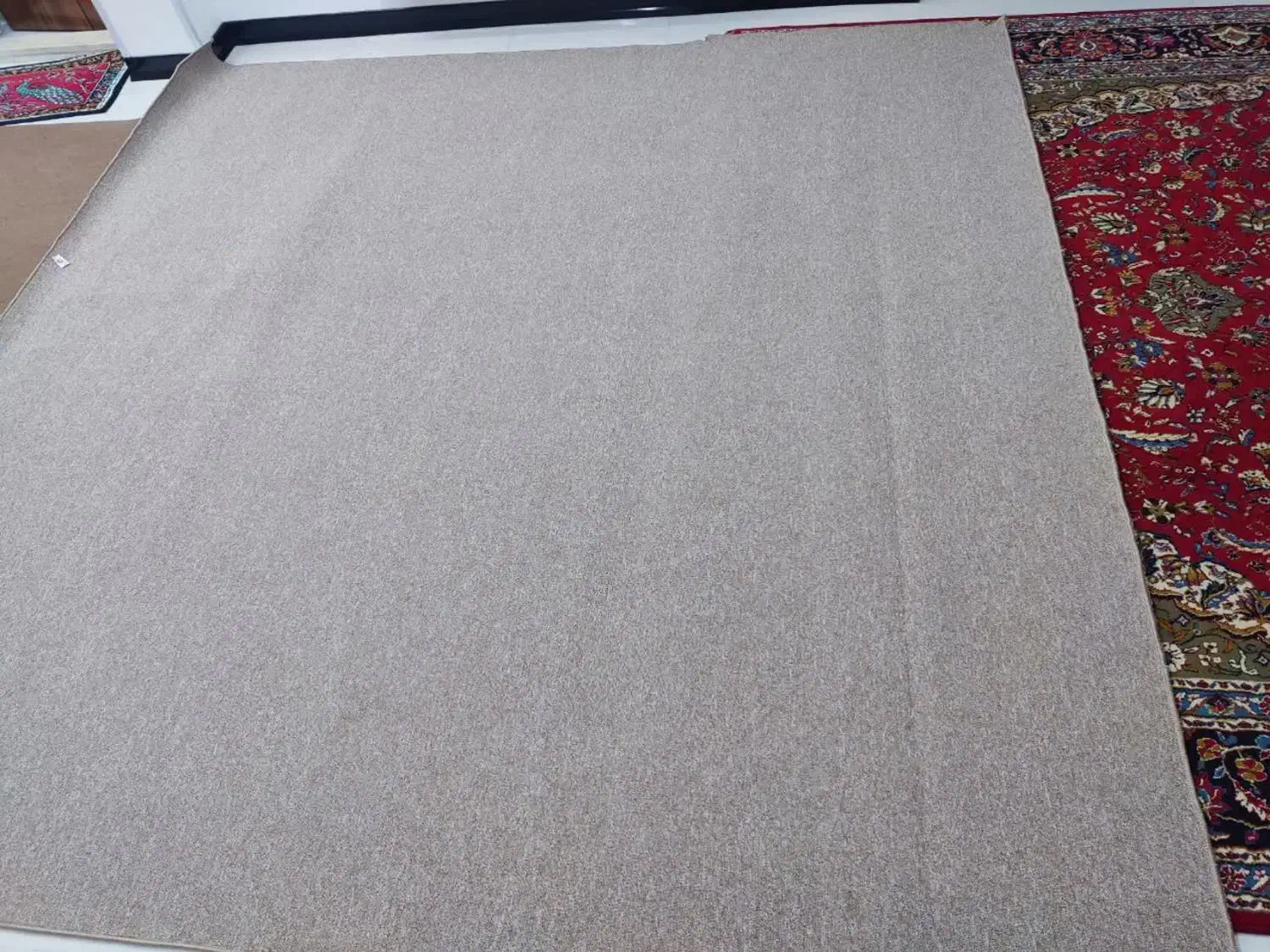 پالازموکت طرح پونه|موکت|شهرکرد, |دیوار