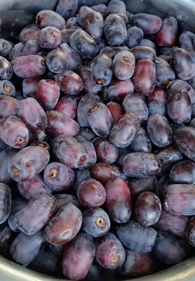 رطب مضافتی تازه،کیلویی ۹۰ هزار|خوردنی و آشامیدنی|داراب, |دیوار