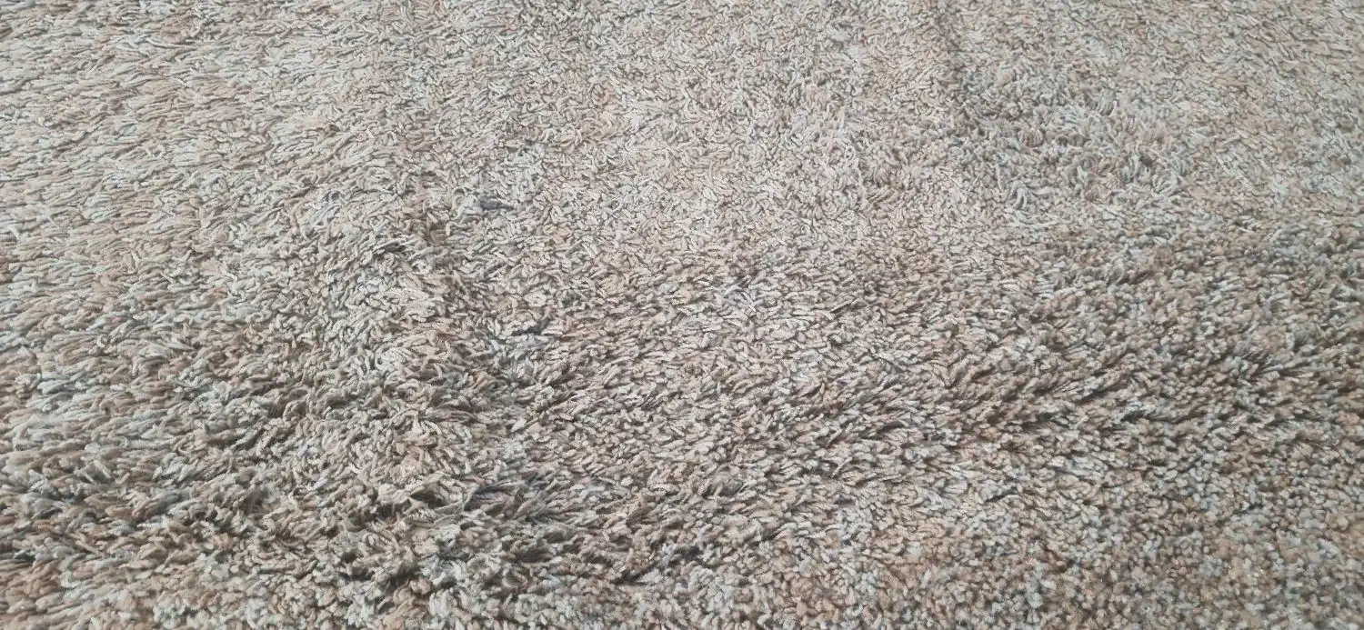 موکت ریشه بلند|موکت|اصفهان, باغ دریاچه|دیوار