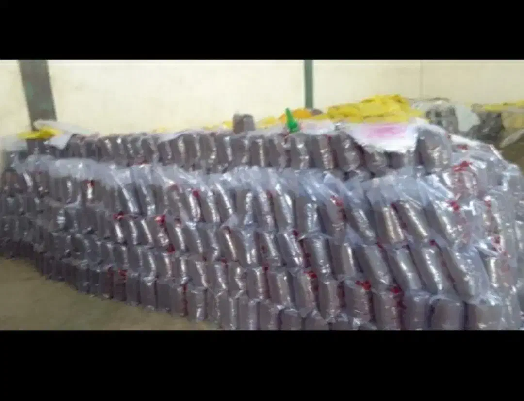 کود ورمی کمپوست|خدمات باغبانی و درختکاری|فردیس, شهرک ارم|دیوار