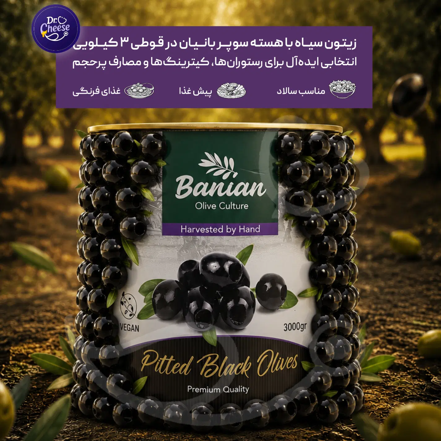 فروش عمده انواع زیتون بهترین قیمت|خوردنی و آشامیدنی|شیراز, شهرک گلها|دیوار