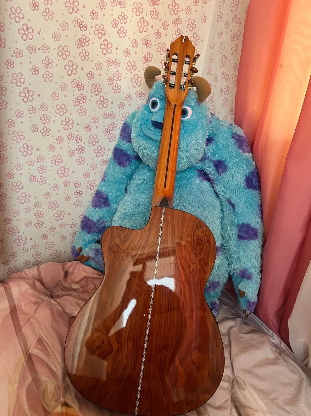 گیتار|گیتار، بیس، امپلیفایر|لاهیجان, فیاض|دیوار