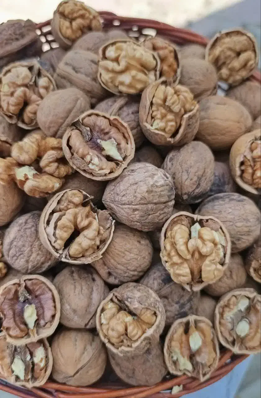 خشکبار گردو.بادام|خوردنی و آشامیدنی|شیراز, آزادی|دیوار