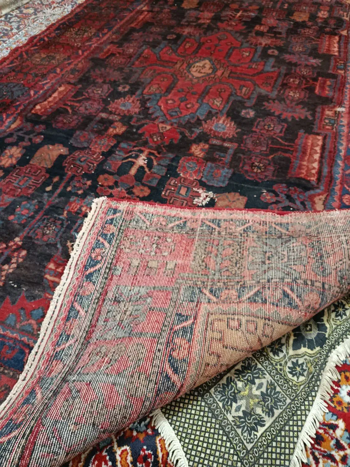 فرش دستباف قشقایی ۶ متری پشم دست ریس|فرش|خرم‌آباد, |دیوار