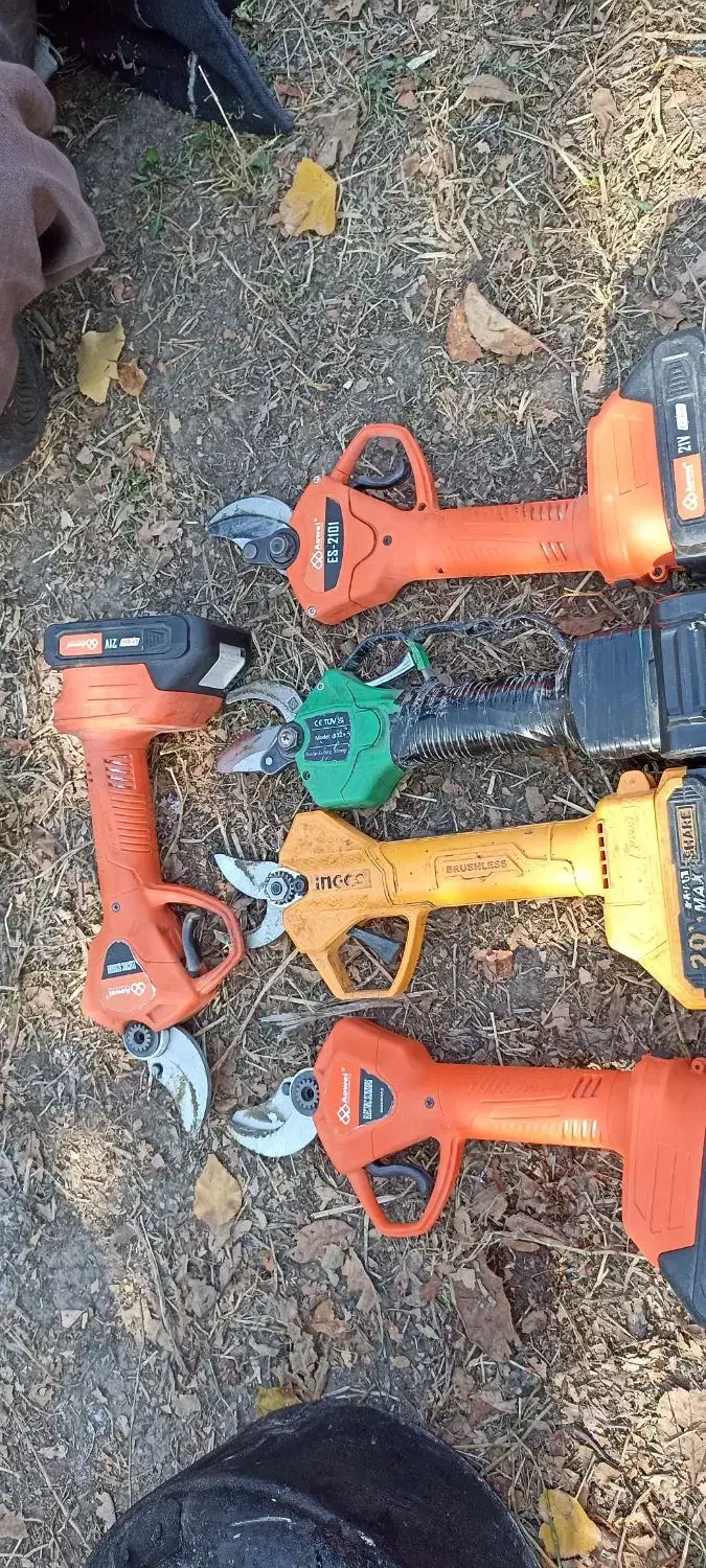 هرسکار|خدمات باغبانی و درختکاری|پیرانشهر, |دیوار