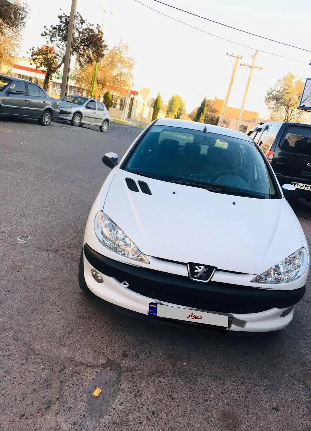 206 در حد|خودرو سواری و وانت|رفسنجان, |دیوار