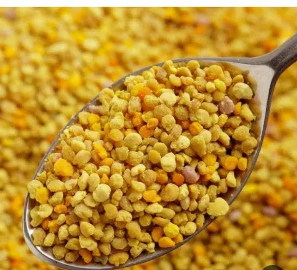 گرده گل|گل و گیاه طبیعی|داراب, |دیوار