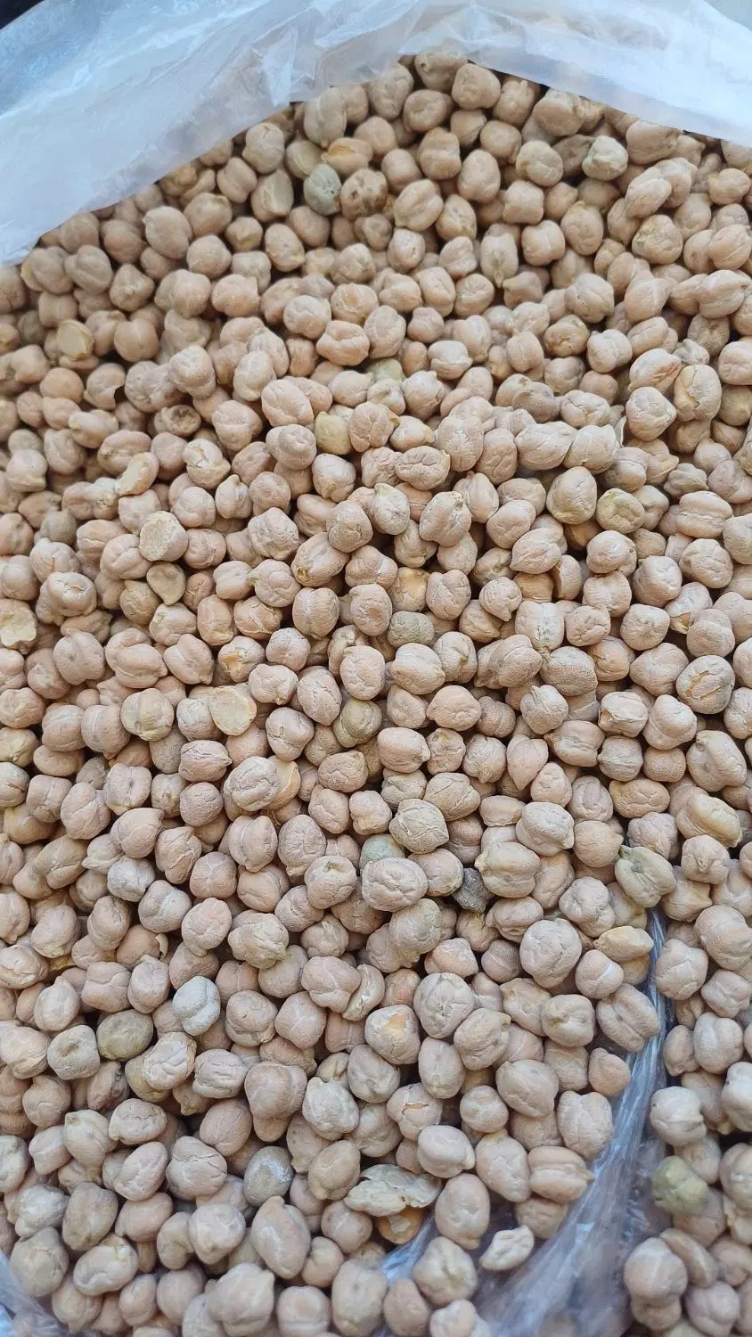نخود|خوردنی و آشامیدنی|بروجرد, |دیوار