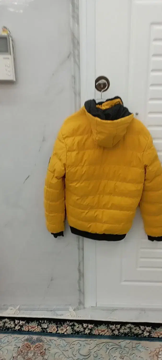 کاپشن دورو|لباس|ماهیدشت, |دیوار